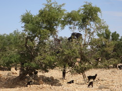  <a style='color: #fff;' href='/uploaded/photo/voyage-agadir-du-14-au-21-octobre-2023-vue-par-agny-s-654a13ac9c7b9.jpg'>(Télécharger)</a>