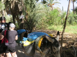  <a style='color: #fff;' href='/uploaded/photo/voyage-agadir-du-14-au-21-octobre-2023-vue-par-agny-s-654a13acaf02d.jpg'>(Télécharger)</a>