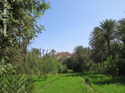  <a style='color: #fff;' href='/uploaded/photo/voyage-agadir-du-14-au-21-octobre-2023-vue-par-agny-s-654a13acc4a15.jpg'>(Télécharger)</a>