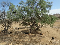  <a style='color: #fff;' href='/uploaded/photo/voyage-agadir-du-14-au-21-octobre-2023-vue-par-agny-s-654a13ad5e014.jpg'>(Télécharger)</a>