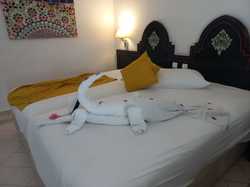  <a style='color: #fff;' href='/uploaded/photo/voyage-agadir-du-14-au-21-octobre-2023-vue-par-nicole-65475c099a015.jpg'>(Télécharger)</a>