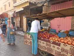  <a style='color: #fff;' href='/uploaded/photo/voyage-agadir-du-14-au-21-octobre-2023-vue-par-nicole-65475c0c64ac2.jpg'>(Télécharger)</a>