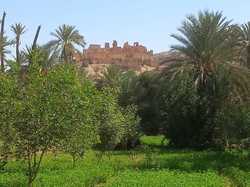  <a style='color: #fff;' href='/uploaded/photo/voyage-agadir-du-14-au-21-octobre-2023-vue-par-nicole-65475c0c9f349.jpg'>(Télécharger)</a>