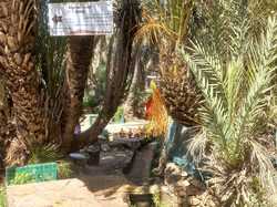  <a style='color: #fff;' href='/uploaded/photo/voyage-agadir-du-14-au-21-octobre-2023-vue-par-nicole-65475c0d0a7d6.jpg'>(Télécharger)</a>