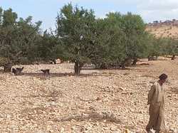  <a style='color: #fff;' href='/uploaded/photo/voyage-agadir-du-14-au-21-octobre-2023-vue-par-nicole-65475c0d1cbe0.jpg'>(Télécharger)</a>