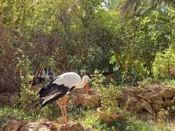  <a style='color: #fff;' href='/uploaded/photo/voyage-agadir-du-14-au-21-octobre-2023-vue-par-nicole-65475c0d2e355.jpg'>(Télécharger)</a>