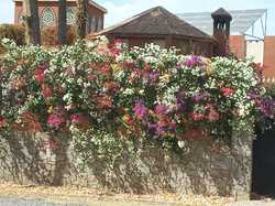  <a style='color: #fff;' href='/uploaded/photo/voyage-agadir-du-14-au-21-octobre-2023-vue-par-nicole-65475c0fd3d94.jpg'>(Télécharger)</a>