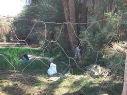  <a style='color: #fff;' href='/uploaded/photo/voyage-agadir-du-14-au-21-octobre-2023-vue-par-nicole-65475c0ff3923.jpg'>(Télécharger)</a>