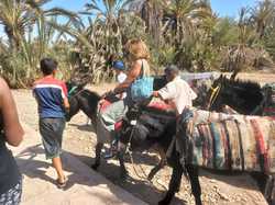  <a style='color: #fff;' href='/uploaded/photo/voyage-agadir-du-14-au-21-octobre-2023-vue-par-nicole-65475c10076fd.jpg'>(Télécharger)</a>