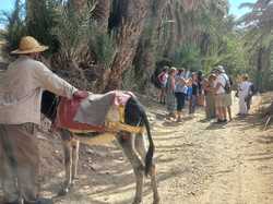  <a style='color: #fff;' href='/uploaded/photo/voyage-agadir-du-14-au-21-octobre-2023-vue-par-nicole-65475c100d530.jpg'>(Télécharger)</a>