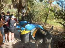  <a style='color: #fff;' href='/uploaded/photo/voyage-agadir-du-14-au-21-octobre-2023-vue-par-nicole-65475c10ee2d5.jpg'>(Télécharger)</a>