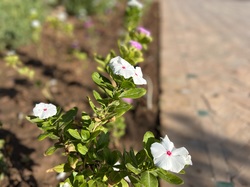  <a style='color: #fff;' href='/uploaded/photo/voyage-au-maroc-vue-par-jean-pierre-63398328262ca.jpg'>(Télécharger)</a>