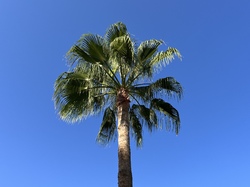  <a style='color: #fff;' href='/uploaded/photo/voyage-au-maroc-vue-par-jean-pierre-6339833c5458d.jpg'>(Télécharger)</a>