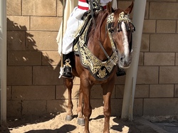  <a style='color: #fff;' href='/uploaded/photo/voyage-au-maroc-vue-par-jean-pierre-6339833e0f5bd.jpg'>(Télécharger)</a>