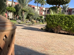  <a style='color: #fff;' href='/uploaded/photo/voyage-au-maroc-vue-par-jean-pierre-633983511234a.jpg'>(Télécharger)</a>