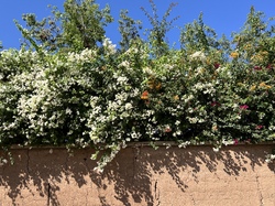  <a style='color: #fff;' href='/uploaded/photo/voyage-au-maroc-vue-par-jean-pierre-6339835475af4.jpg'>(Télécharger)</a>