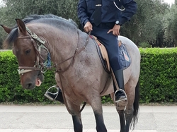  <a style='color: #fff;' href='/uploaded/photo/voyage-au-maroc-vue-par-michel-63499abdaac8f.jpg'>(Télécharger)</a>