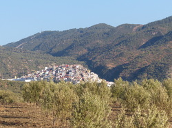  <a style='color: #fff;' href='/uploaded/photo/voyage-au-maroc-vue-par-michel-63499acce1643.jpg'>(Télécharger)</a>