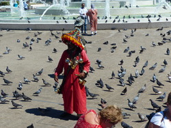  <a style='color: #fff;' href='/uploaded/photo/voyage-au-maroc-vue-par-michel-63499ad28f35b.jpg'>(Télécharger)</a>