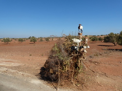  <a style='color: #fff;' href='/uploaded/photo/voyage-au-maroc-vue-par-michel-63499ad31cf83.jpg'>(Télécharger)</a>