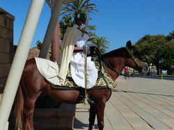  <a style='color: #fff;' href='/uploaded/photo/voyage-au-maroc-vue-par-michel-63499ad41f37a.jpg'>(Télécharger)</a>