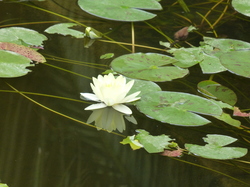  <a style='color: #fff;' href='/uploaded/photo/voyage-au-maroc-vue-par-michel-63499ad6990c0.jpg'>(Télécharger)</a>