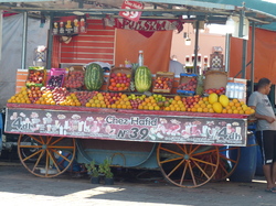  <a style='color: #fff;' href='/uploaded/photo/voyage-au-maroc-vue-par-michel-63499ad6a5d7e.jpg'>(Télécharger)</a>