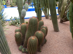  <a style='color: #fff;' href='/uploaded/photo/voyage-au-maroc-vue-par-michel-63499ad78a9fc.jpg'>(Télécharger)</a>