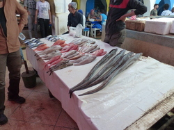  <a style='color: #fff;' href='/uploaded/photo/voyage-au-maroc-vue-par-michel-63499ada5e767.jpg'>(Télécharger)</a>