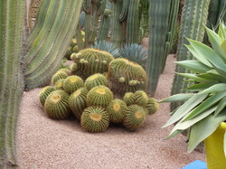  <a style='color: #fff;' href='/uploaded/photo/voyage-au-maroc-vue-par-michel-63499adab6596.jpg'>(Télécharger)</a>