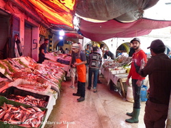  <a style='color: #fff;' href='/uploaded/photo/voyage-au-maroc-vue-par-michel-63499adc306e3.jpg'>(Télécharger)</a>