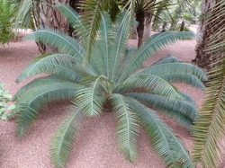  <a style='color: #fff;' href='/uploaded/photo/voyage-au-maroc-vue-par-michel-63499adc9d00a.jpg'>(Télécharger)</a>