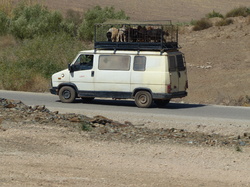  <a style='color: #fff;' href='/uploaded/photo/voyage-au-maroc-vue-par-michel-63499add137b4.jpg'>(Télécharger)</a>