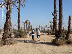  <a style='color: #fff;' href='/uploaded/photo/voyage-au-maroc-vue-par-michel-63499ae1b745f.jpg'>(Télécharger)</a>