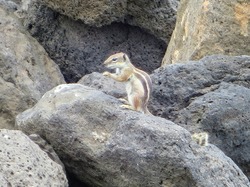  <a style='color: #fff;' href='/uploaded/photo/voyage-aux-canaries-fuerteventura-637b42303f3cc.jpg'>(Télécharger)</a>