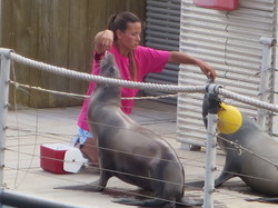  <a style='color: #fff;' href='/uploaded/photo/voyage-aux-canaries-fuerteventura-637b4247b5800.jpg'>(Télécharger)</a>