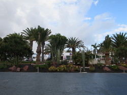  <a style='color: #fff;' href='/uploaded/photo/voyage-aux-canaries-fuerteventura-637b42571cbf9.jpg'>(Télécharger)</a>
