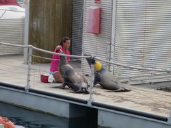  <a style='color: #fff;' href='/uploaded/photo/voyage-aux-canaries-fuerteventura-637b4257c1981.jpg'>(Télécharger)</a>