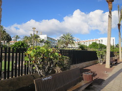  <a style='color: #fff;' href='/uploaded/photo/voyage-aux-canaries-fuerteventura-637b4262ab8f3.jpg'>(Télécharger)</a>