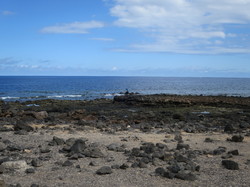  <a style='color: #fff;' href='/uploaded/photo/voyage-aux-canaries-fuerteventura-637b4267ea78a.jpg'>(Télécharger)</a>