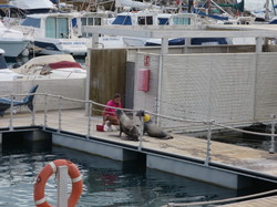  <a style='color: #fff;' href='/uploaded/photo/voyage-aux-canaries-fuerteventura-637b426d5ccaf.jpg'>(Télécharger)</a>