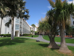  <a style='color: #fff;' href='/uploaded/photo/voyage-aux-canaries-fuerteventura-637b427bafdc7.jpg'>(Télécharger)</a>