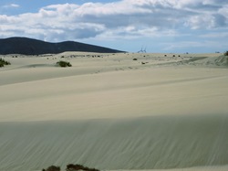  <a style='color: #fff;' href='/uploaded/photo/voyage-aux-canaries-fuerteventura-637b427be0836.jpg'>(Télécharger)</a>