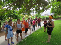  <a style='color: #fff;' href='/uploaded/photo/voyage-aux-canaries-fuerteventura-637b427e47d1b.jpg'>(Télécharger)</a>