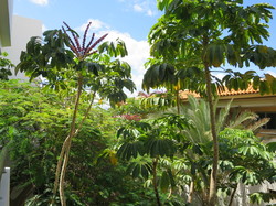  <a style='color: #fff;' href='/uploaded/photo/voyage-aux-canaries-fuerteventura-637b427eddbb6.jpg'>(Télécharger)</a>