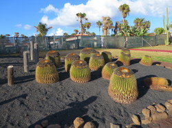  <a style='color: #fff;' href='/uploaded/photo/voyage-aux-canaries-fuerteventura-637b4284c5c3a.jpg'>(Télécharger)</a>