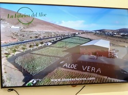  <a style='color: #fff;' href='/uploaded/photo/voyage-aux-canaries-fuerteventura-637b4285aab60.jpg'>(Télécharger)</a>