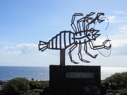  <a style='color: #fff;' href='/uploaded/photo/voyage-aux-canaries-fuerteventura-637b428d302f0.jpg'>(Télécharger)</a>