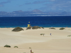  <a style='color: #fff;' href='/uploaded/photo/voyage-aux-canaries-fuerteventura-637b42908ff88.jpg'>(Télécharger)</a>