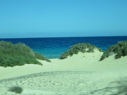  <a style='color: #fff;' href='/uploaded/photo/voyage-aux-canaries-fuerteventura-637b4297878bb.jpg'>(Télécharger)</a>